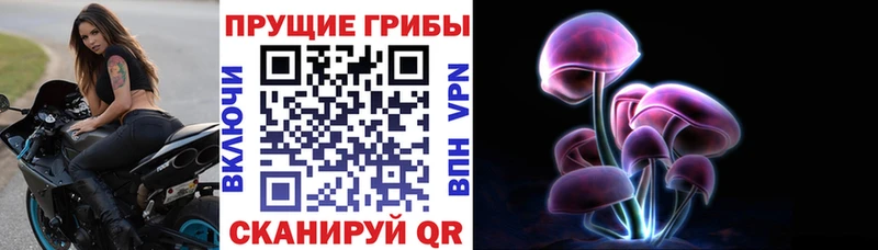 Псилоцибиновые грибы GOLDEN TEACHER Вышний Волочёк